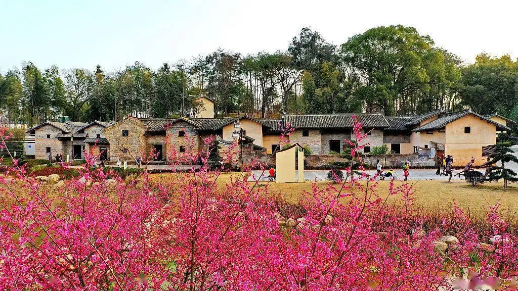 會昌縣風景獨好園打造沉浸式體驗和傳承紅色文化